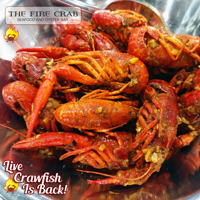 Live Crawfish Garden Grove Orange County OC Fire Crab Cajun Grub 